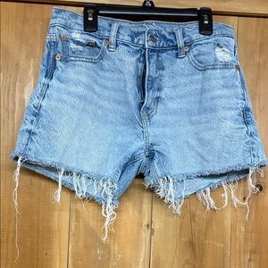 American Eagle Outfitters Light Blue Frayed Jean Shorts